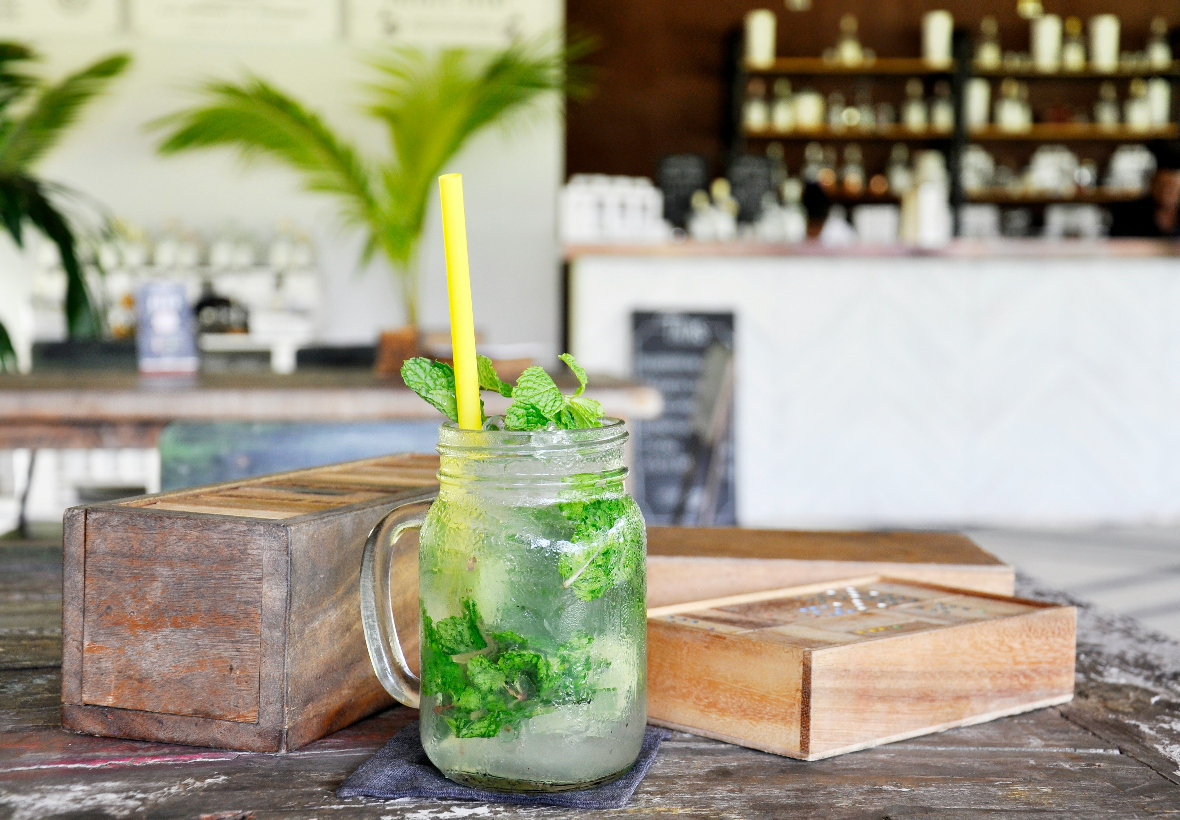 Veg Sandwich + Fries + Mojito